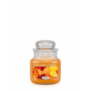 Country Candle Leaves vonná sviečka mini 1-knôtová (104 g)