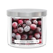 Kringle Candle TUMBLER Frosted Cranberry vonná sviečka stredná 2-knôtová (411 g)