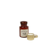Paddywax Apothecary SEA SALT & SAGE vonná sviečka (8oz / 226g)