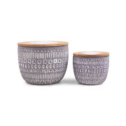 Paddywax Sonora PURPLE WILDFLOWERS & BIRCH vonná sviečka (10oz / 284g)