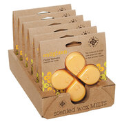 ROOT CANDLES Seeking Balance vosk ENLIGHTEN / OSVIETENIE