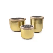 Paddywax FOUNDRY VERBENA & PATCHOULI zlatá vonná sviečka v kovovom balení (18oz / 510g)