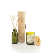 Paddywax Eco Green BLOOD ORANGE & BERGAMOT difúzor (4 oz / 118 ml)