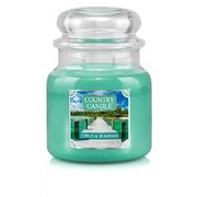 Country Candle Citrus & Seagrass vonná sviečka stredná 2-knôtová (453 g)