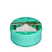 Country Candle Citrus & Seagrass vonná sviečka (35 g)