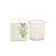 KOBO Plant the Box Fresh Cut Grass vonná sviečka (10oz / 283g)