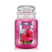 Country Candle Hibiscus vonná sviečka veľká 2-knôtová (652 g)