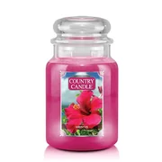 Country Candle Hibiscus vonná sviečka veľká 2-knôtová (652 g)