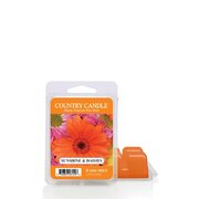 Country Candle Sunshine & Daisies vonný vosk (64 g)