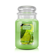 Country Candle Sparkling vonná sviečka veľká 2-knôtová (652 g)