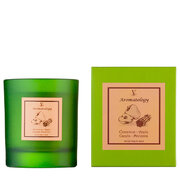 Vila Hermanos Aromathologie Cinnamon Apple vonná sviečka 200g