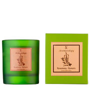 Vila Hermanos Aromathologie Rosemary vonná sviečka 200g
