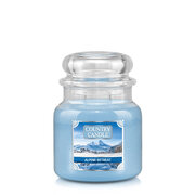 Country Candle Alpine Retreat vonná sviečka stredná 2-knôtová (453 g)