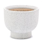 Paddywax Cypress & Fir vonná sviečka v keramickej nádobe (14 oz /396g)