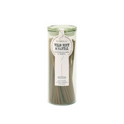 Paddywax Haze Wild Mint & Santal vonné tyčinky v sklenenom obale 100 ks