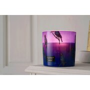 Vila Hermanos Jungletopia Toucan Rainforest vonná sviečka 650g