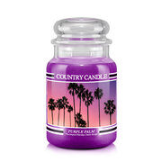 Country Candle Purple Palm vonná sviečka veľká 2-knôtová (652 g)