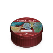 Kringle Candle Novembrrr vonná sviečka (42 g)