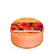 Country Candle Golden Mums & Honey Crisp Tonka vonná sviečka (42 g)
