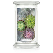 Kringle Candle Succulents vonná sviečka veľká 2-knôtová (624 g)