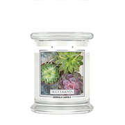 Kringle Candle Succulents vonná sviečka stredná 2-knôtová (411 g)