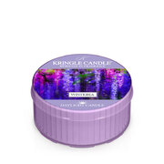 Kringle Candle Wisteria vonná sviečka vonná sviečka (42 g)