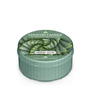 Country Candle Spiral Aloe vonná sviečka (42 g)