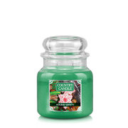 Country Candle Holiday Sweets vonná sviečka stredná 2-knôtová (453 g)