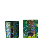 Vila Hermanos Jungletopia BUTTERFLY vonná sviečka 200g