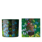 Vila Hermanos Jungletopia Butterfly vonná sviečka 650g