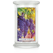 Kringle Candle Vineyard Harvest vonná sviečka veľká 2-knôtová (624 g)