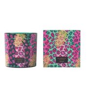 Vila Hermanos Jungletopia WILD MUSK vonná sviečka 650g