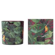 Vila Hermanos Jungletopia SPICY CYPRIOL vonná sviečka 650g