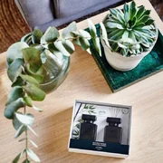ipuro Essentials Black Bamboo 2x50ml difúzor v darčekovom balení