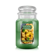 Country Candle Charred Pineapple vonná sviečka veľká 2-knôtová (737 g)