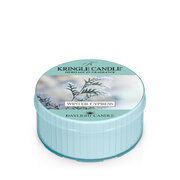 Kringle Candle Winter Cypress vonná sviečka (42g)