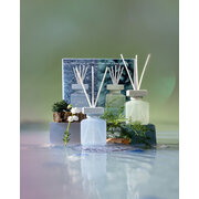 ipuro Essentials in Harmony & Nature 2x50ml difúzor v darčekovom balení