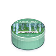 Country Candle White Birch and Rain vonná sviečka (42g)
