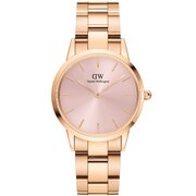 Daniel Wellington DW00100369 Iconic Link 32mm 3ATM 