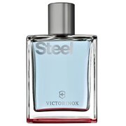 Victorinox Steel Toaletná voda