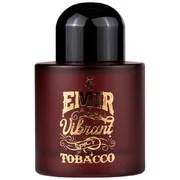 Emir Vibrant Spicy Tobacco Parfumovaná voda