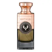 Electimuss Mercurial Cashmere Parfumovaná voda