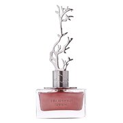 Aurora Scents Deciduous Spring Parfumovaná voda 100ml