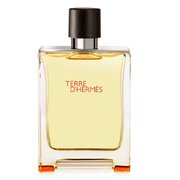 Hermes Terre D'Hermes Pure Parfum Parfumovaná voda