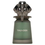 French Avenue Thunder Parfumovaná voda 100ml