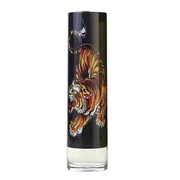 Christian Audigier Ed Hardy Men's Toaletná voda
