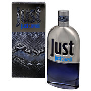 Roberto Cavalli Just Cavalli Him 2013 Toaletná voda