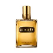 Aramis Aramis Toaletná voda 110ml