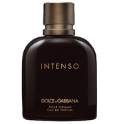 Dolce & Gabbana Intenso Pour Homme Parfémovaná voda 200ml