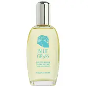 Elizabeth Arden Blue Grass Parfémovaná voda 100ml